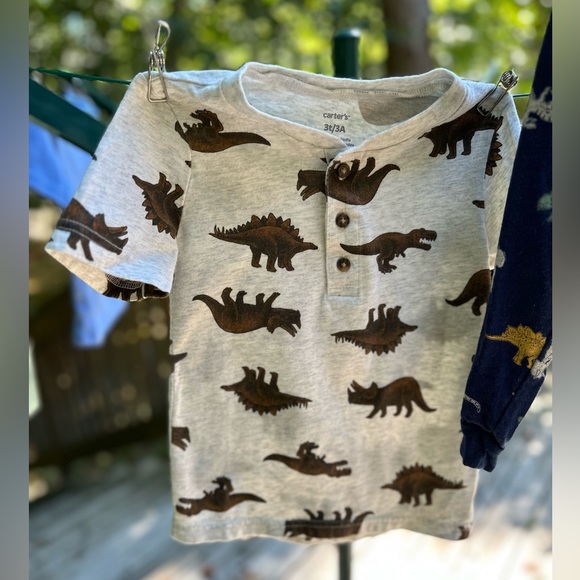Carter’s Dinosaur Top Set 3T - Picture 9 of 9